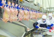 Kanatlı eti sektörü gelecek 10 yılda en çok tüketilen protein kaynağı olacak