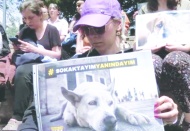 "Yapmanız gerekenlerin hiçbirini yapmayıp hayvanları hedef gösteremezsiniz!"