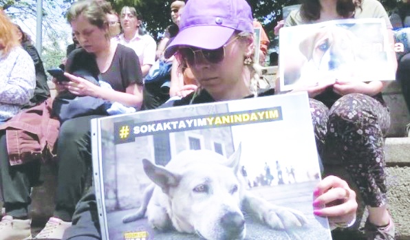 "Yapmanız gerekenlerin hiçbirini yapmayıp hayvanları hedef gösteremezsiniz!"