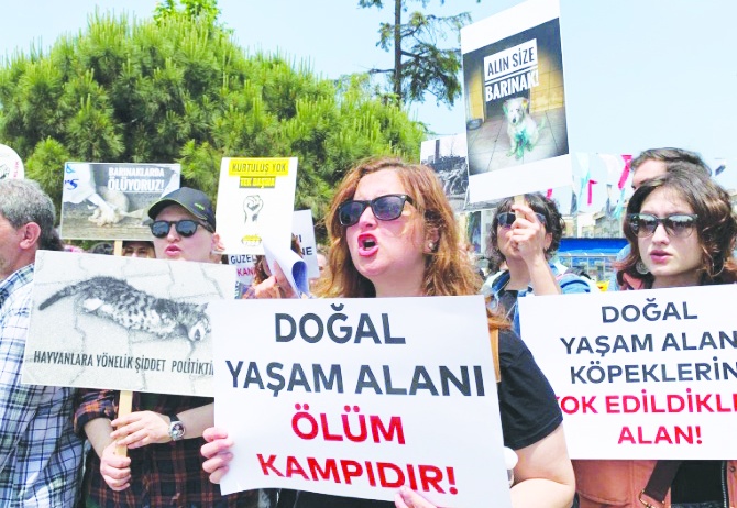 "Bu bir vahşettir hiçbir vicdan bunu kabul edemez"