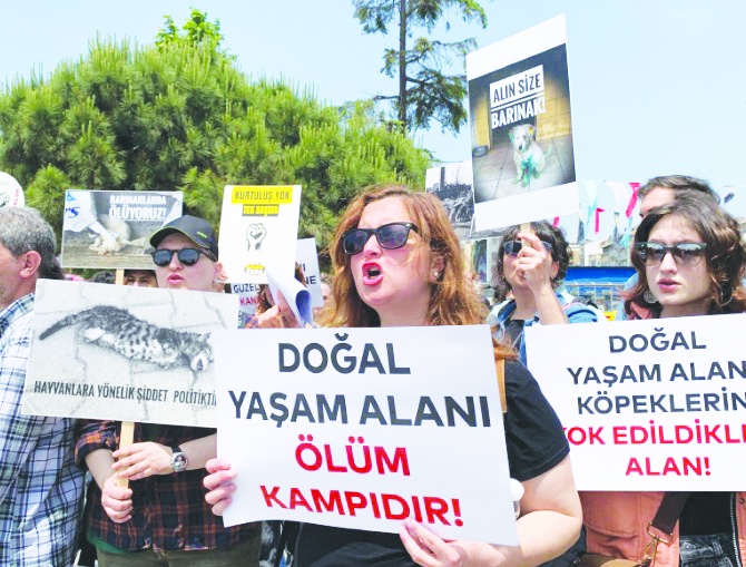 "Bu bir vahşettir hiçbir vicdan bunu kabul edemez"