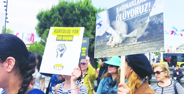 'Can vereceğiz ama canlarımızı vermeyeceğiz'