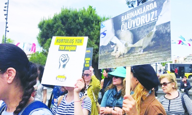 'Can vereceğiz ama canlarımızı vermeyeceğiz'