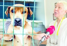 İktidarın 'uyutma' teklifine tepki: 'Toplumsal barış ağır yara alır'