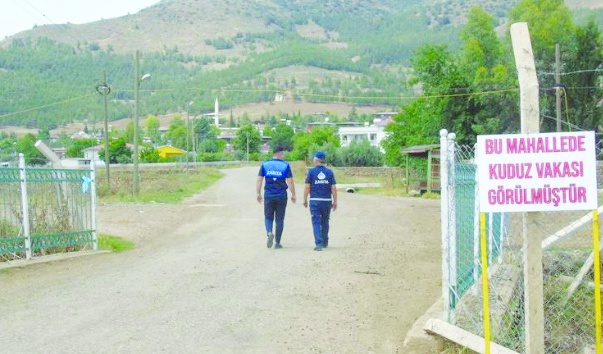 İki mahalle, "kuduz" sebebiyle karantinaya alındı