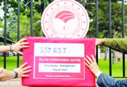 Hayvanseverlerden sokak köpekleri için bakanlığa 257 bin imza