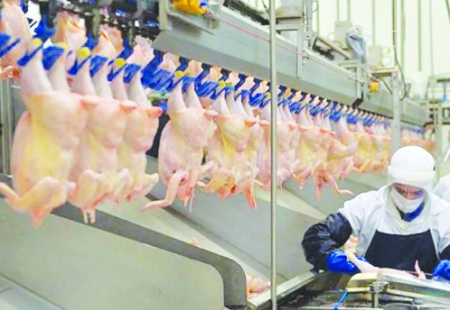 Beyaz et sektöründeki 4 firmaya 1,2 milyar lira ceza