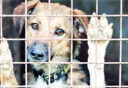 Bu ülkede bir katliama yol açamazsınız!