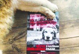 Hayvanları sistemin kanlı ellerine bırakmayacağız