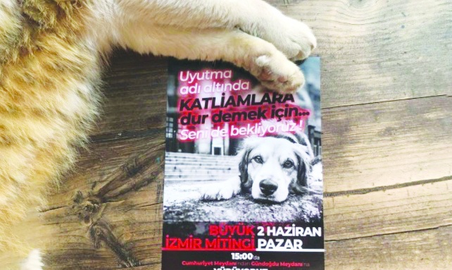 Hayvanları sistemin kanlı ellerine bırakmayacağız