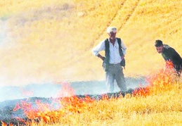 Anız yakmak tarımsal verimliliği düşürüyor