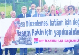 CHP, bütün barınakları gezip, rapor hazırlayacak
