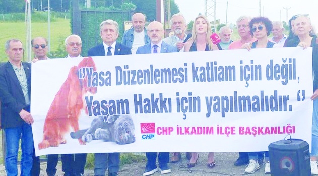 CHP, bütün barınakları gezip, rapor hazırlayacak