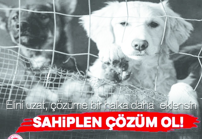 İnsanlarımızın elini taşın altına koyması gerekiyor