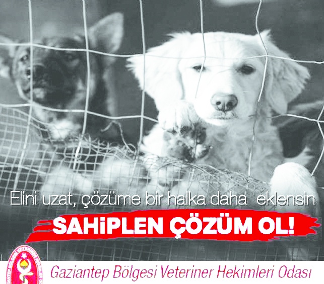 İnsanlarımızın elini taşın altına koyması gerekiyor