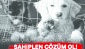 İnsanlarımızın elini taşın altına koyması gerekiyor