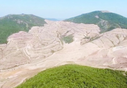 Kaz Dağları, devlet eliyle katlediliyor