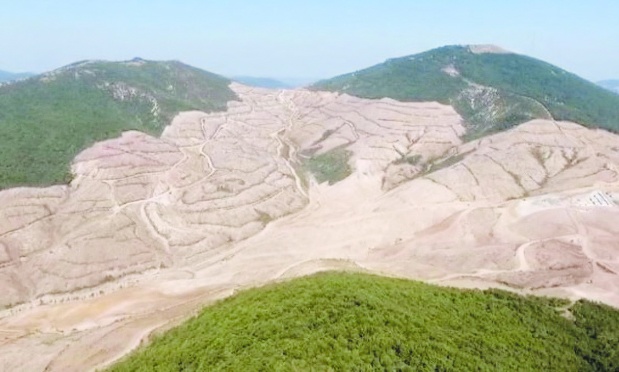 Kaz Dağları, devlet eliyle katlediliyor