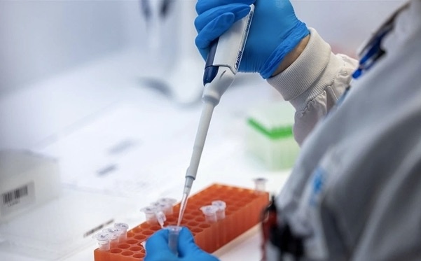 İlk kez bir kişi A(H5N2) tipi kuş gribinden öldü