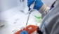 İlk kez bir kişi A(H5N2) tipi kuş gribinden öldü
