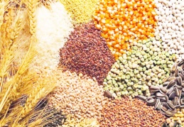 2024 hububat alım fiyatları belli oldu