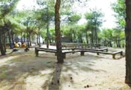 Piknik yapanlar mangal yakmayacak