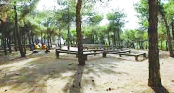 Piknik yapanlar mangal yakmayacak