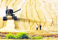 Tarım üretici fiyatları yıllık yüzde 61,24 artış gösterdi