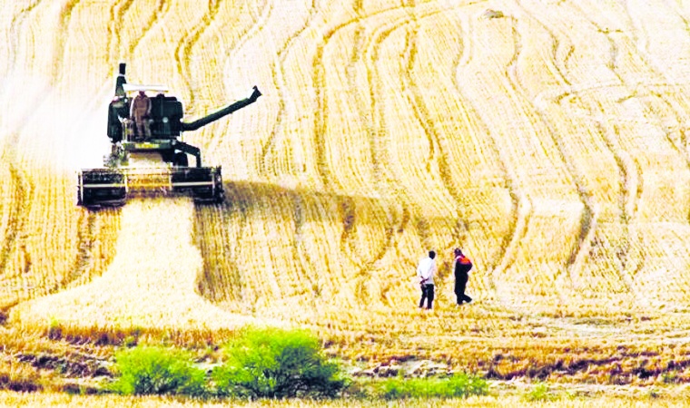 Tarım üretici fiyatları yıllık yüzde 61,24 artış gösterdi