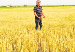 20 yılda 2,6 milyon hektar  tarım arazisi kaybedildi