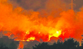 Haziranda orman yangınları 5 kat arttı: 399 yangın çıktı