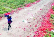 Tarlada 5 lira olan domatesin fiyatı, markette 5‘e katlanıyor