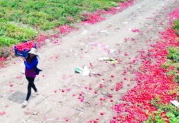 Tarlada 5 lira olan domatesin fiyatı, markette 5‘e katlanıyor