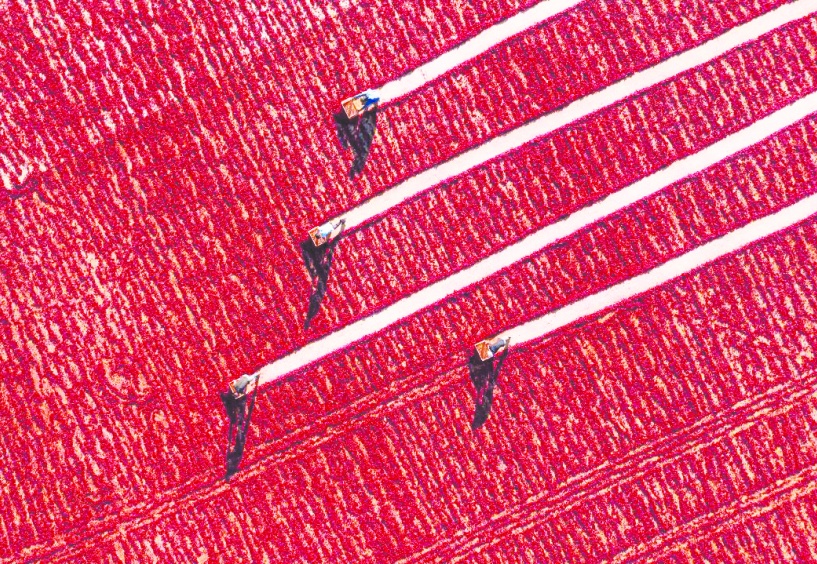 Antep fotoğrafları için yarışma düzenleniyor