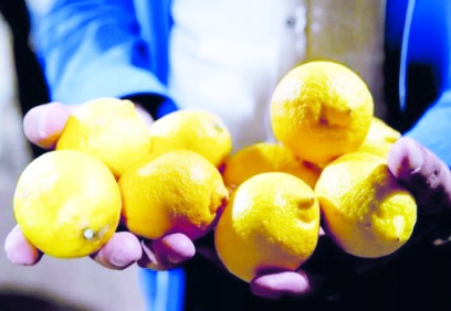 Dalında fiyatı 30 kuruşa kadar düşmüştü: Kilosu 80 lira oldu