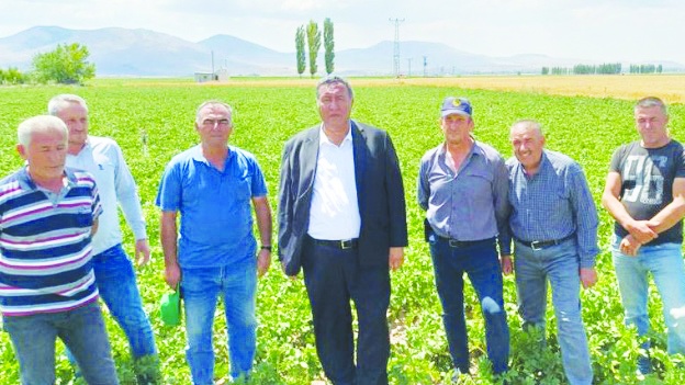 İhracat olmazsa patates komple dökülür, üretici tarladan çekilir