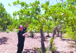 Çiftçi, büyük hayal kırıklığı yaşadı