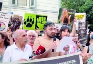 Hayvan hakları savunucularından milletvekillerine çağrı: Tecrit ve katliama hayır deyin