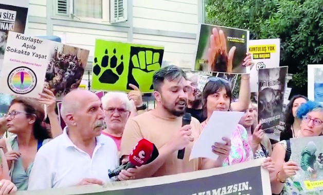 Hayvan hakları savunucularından milletvekillerine çağrı: Tecrit ve katliama hayır deyin