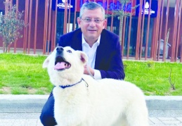 "Katliam yasasına hayır" etiketine destek verdi