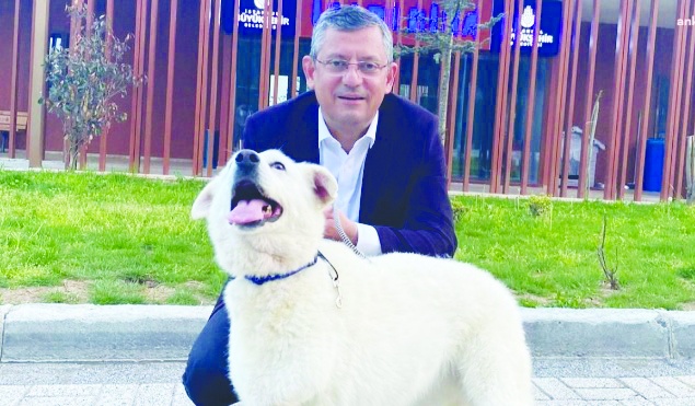 "Katliam yasasına hayır" etiketine destek verdi