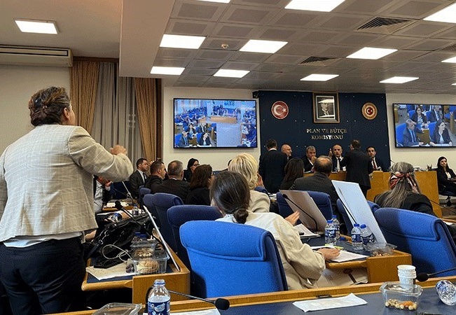 Sokak hayvanlarının öldürülmesini öngören kanun teklifi görüşmeleri ertelendi