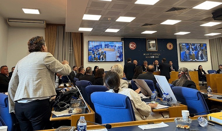 Sokak hayvanlarının öldürülmesini öngören kanun teklifi görüşmeleri ertelendi
