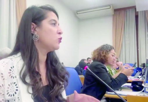 “Hayvanları vahşice toplama işini de şirketlere ihale edip, katliamdan rant mı dağıtacaksınız”