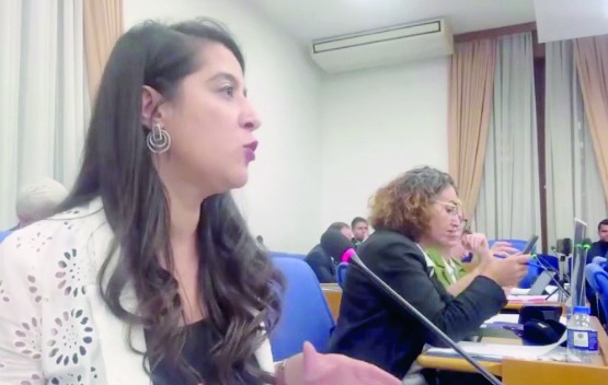 “Hayvanları vahşice toplama işini de şirketlere ihale edip, katliamdan rant mı dağıtacaksınız”