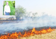 Toprağı koruma konusunda daha duyarlı olmalıyız