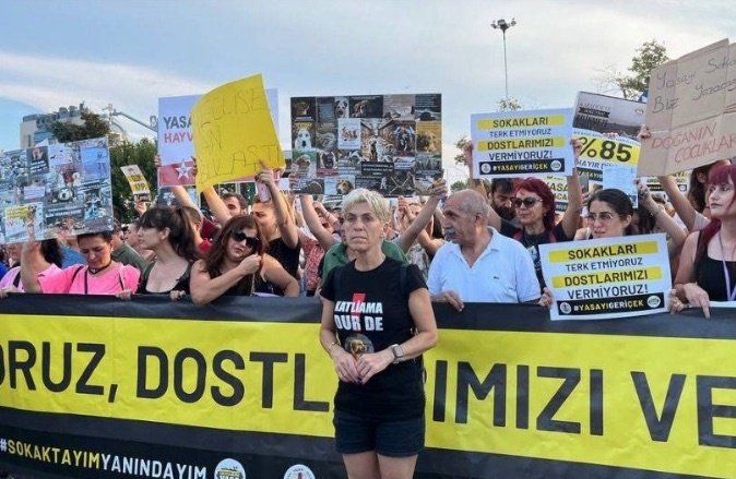 Hayvan hakları savunucuları: Yasayı sokakta biz yazacağız