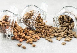 91 ülkedeki patili dostlar Türkiye’de üretilen mamalarla beslendi