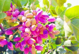 Depoculuk hizmetinin yanı sıra çeşitli devlet destekleri sunuluyor