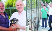 AKP'li Düzce Belediye Başkanı Faruk Özlü'den sokak hayvanları çıkışı: Uygulanabilir değil